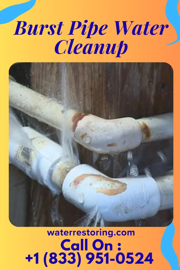 Burst Pipe Water Cleanup in Belding, MI