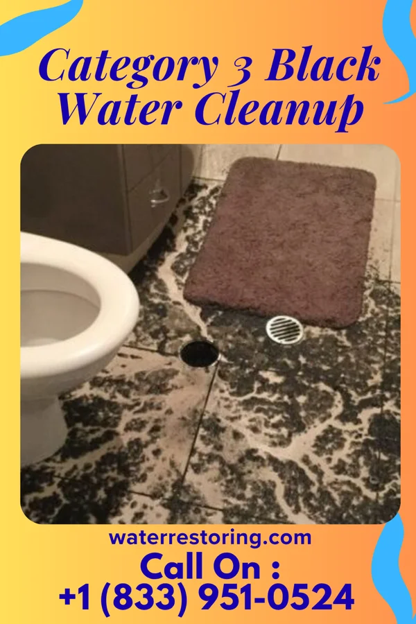 Category 3 Black Water Cleanup in Belding, MI
