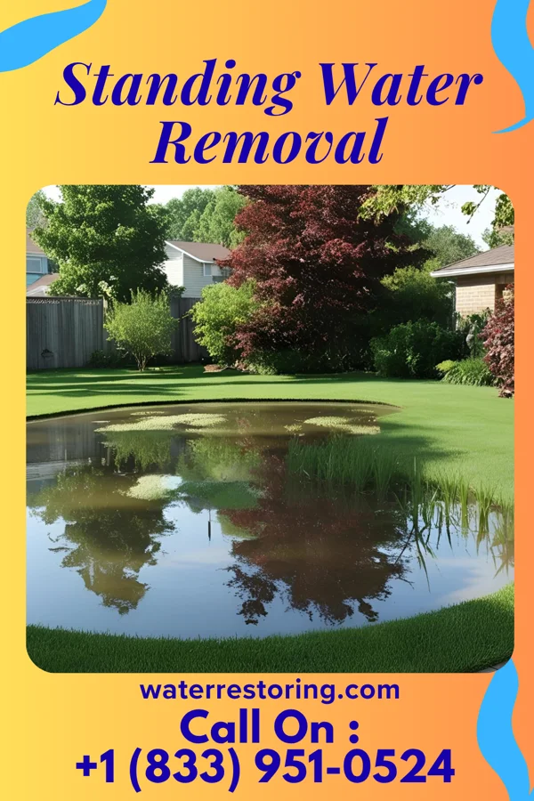 Standing Water Removal in Belding, MI